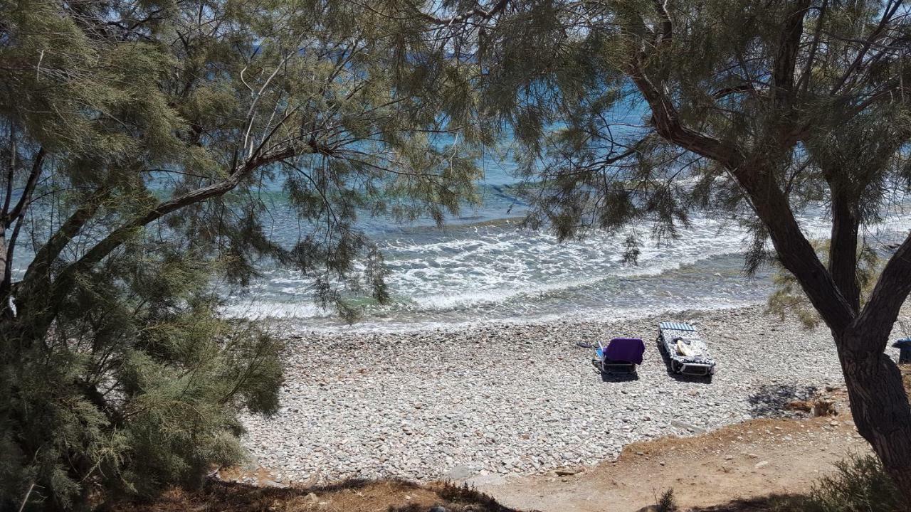 Flora'S Beach And Pool Villa In Syros Liaropá المظهر الخارجي الصورة