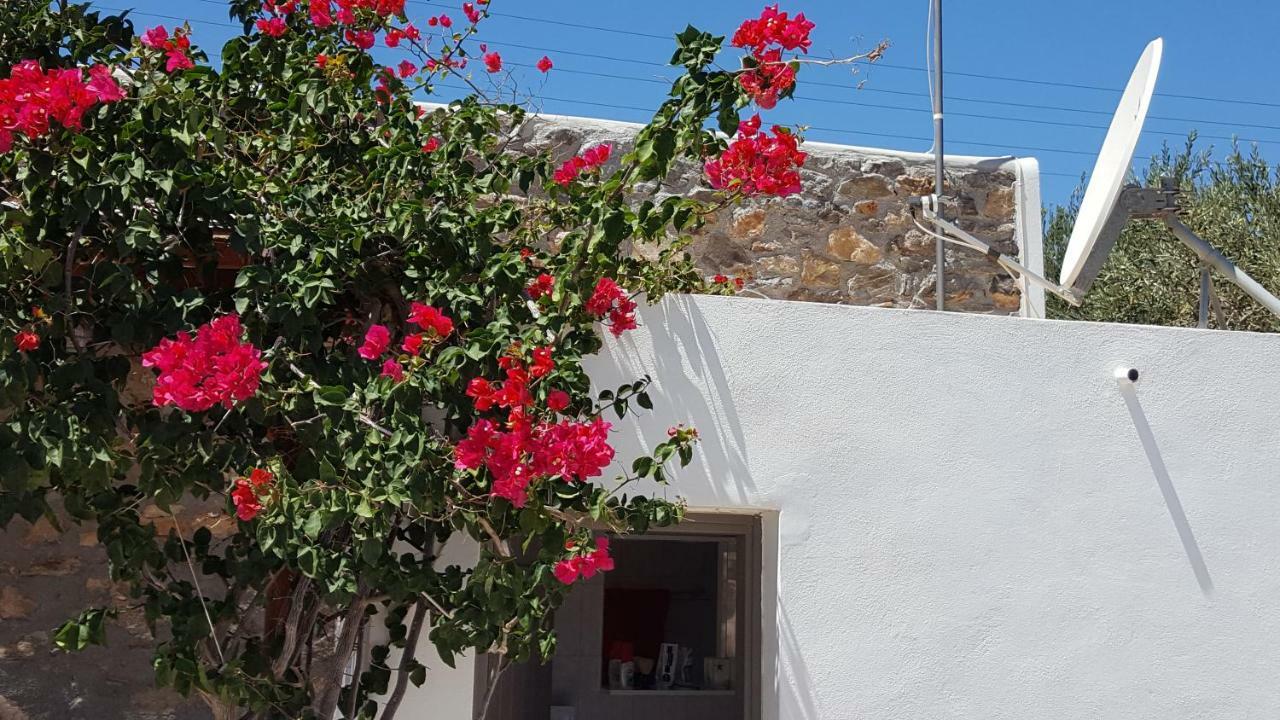 Flora'S Beach And Pool Villa In Syros Liaropá المظهر الخارجي الصورة